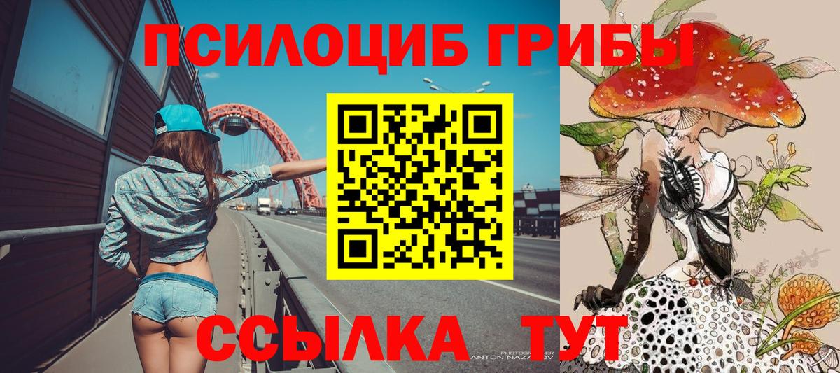 Псилоцибиновые грибы GOLDEN TEACHER  Вход с VPN  Элиста  Галлюциногенные грибы GOLDEN TEACHER 
